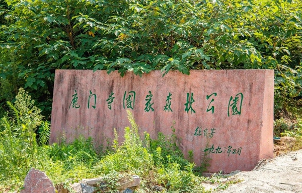 華8.jpg