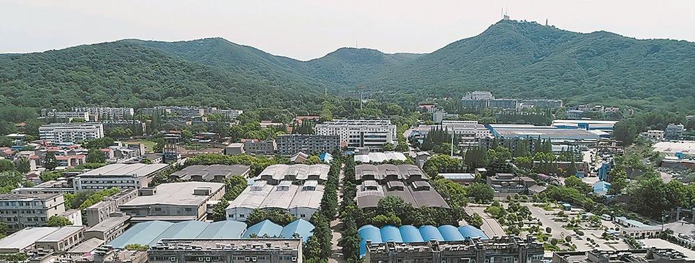 1763083486357748.jpg 1763083486357748.jpg