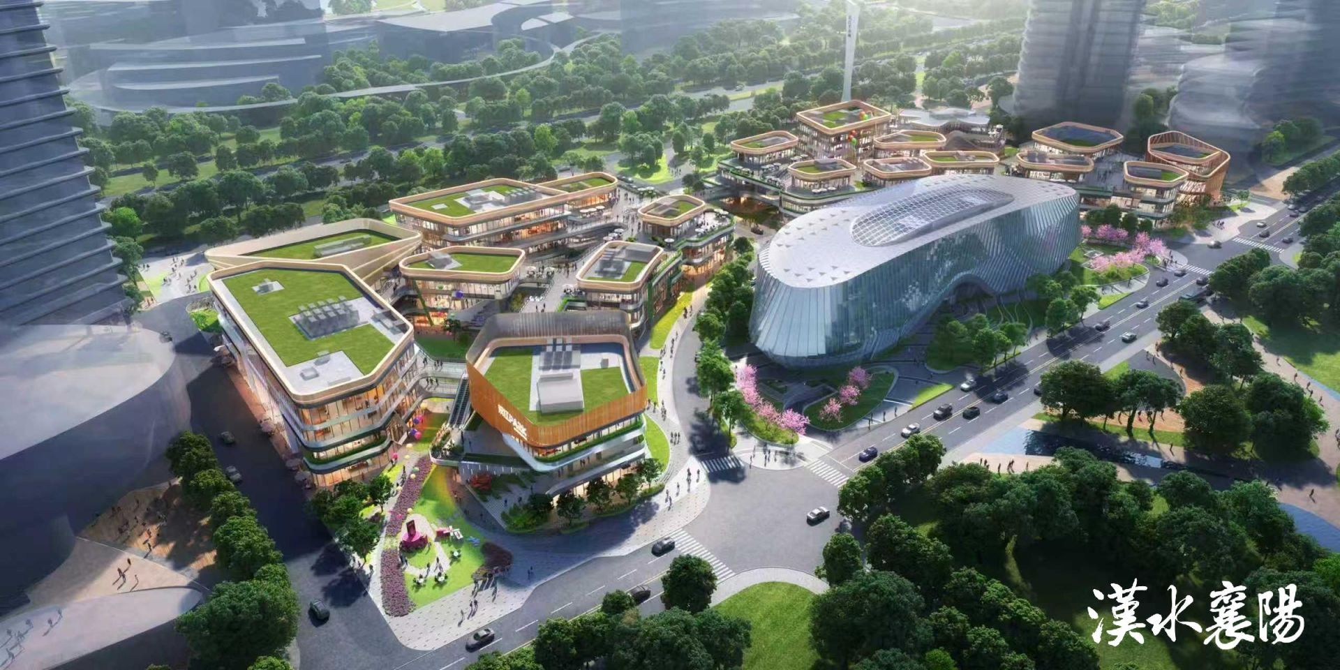 1772507484181069.jpeg 1772507484181069.jpeg