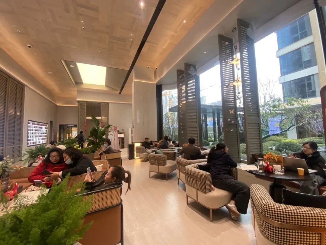 1772585537453023.jpg 1772585537453023.jpg