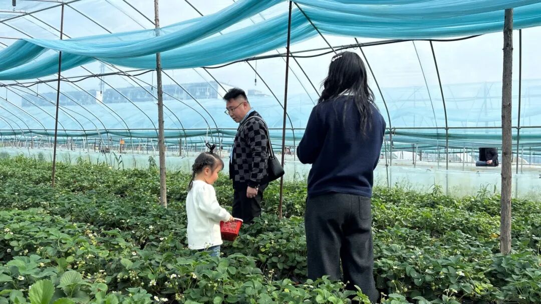 1774232734440182.jpg 1774232734440182.jpg