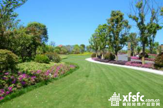 1508512488c716b5199502.jpg 微信圖片_20170815084403.jpg