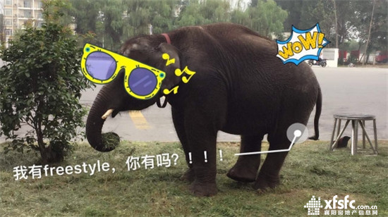 2316205313e21487925092.jpg 搜狗截圖17年08月23日1621_11.jpg