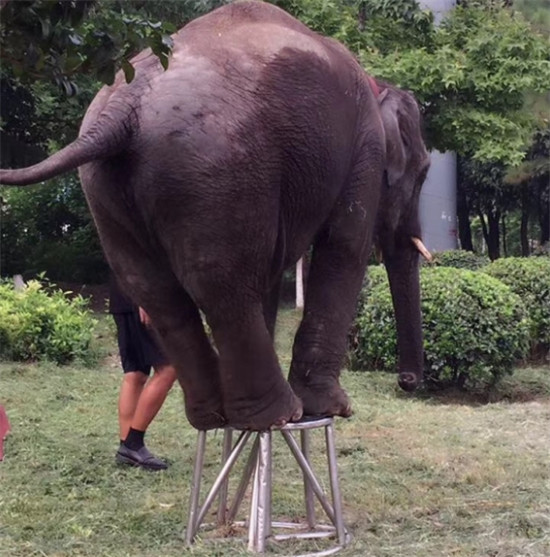 23162240e8e60ff19a4623.jpg 搜狗截圖17年08月23日1626_14.jpg