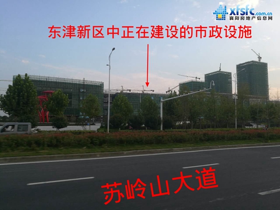 19155929c5101cdc711671.jpg 蘇嶺山大道 .jpg