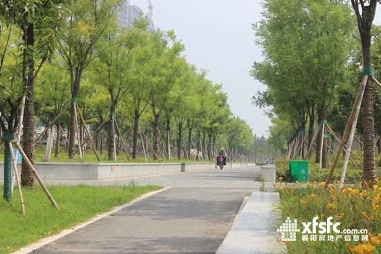 23154809003c0cf6b52302.jpg 江灘1.JPG