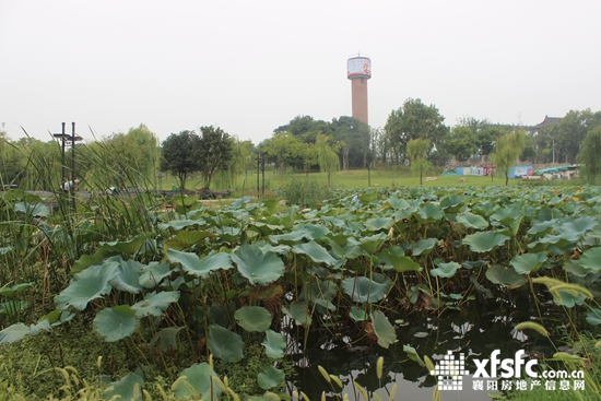 2315491072857bc3813735.jpg IMG_0172.JPG