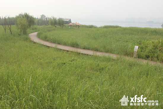 231550195e647458a96627.jpg 三橋1.JPG