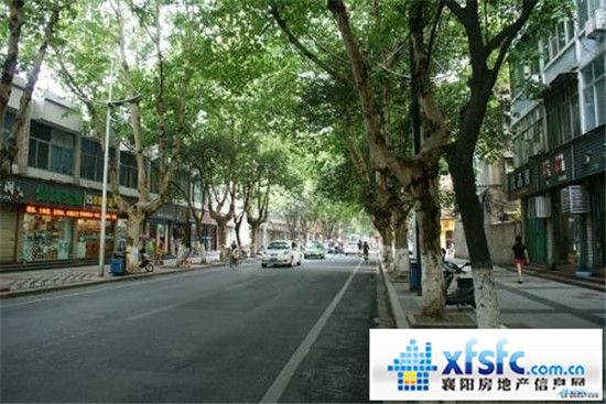 0717564458c6ec038f3918.jpg 修路4.jpg