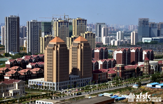 0110173622d9ba72a48006.jpeg Img474547999.jpeg