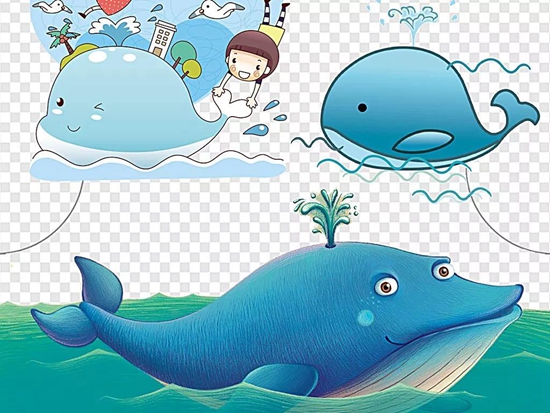 鯨魚(yú)2.jpg