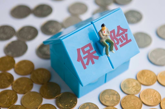 22093445caafaa4ec24328.jpg cb95c805e76443dc82ef98e47aab8c16.jpg