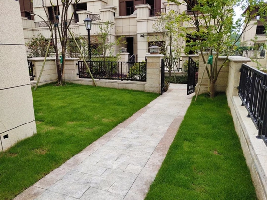 140921298107b198d34233.jpg 微信圖片_20190814090254.jpg