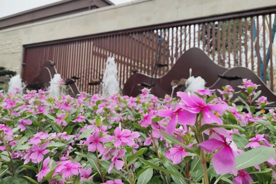 14092208a5db4724960344.jpg 微信圖片_20190814090304.jpg