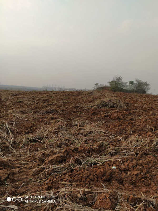 2316211958b0d3d66f4027.jpg 09.jpg