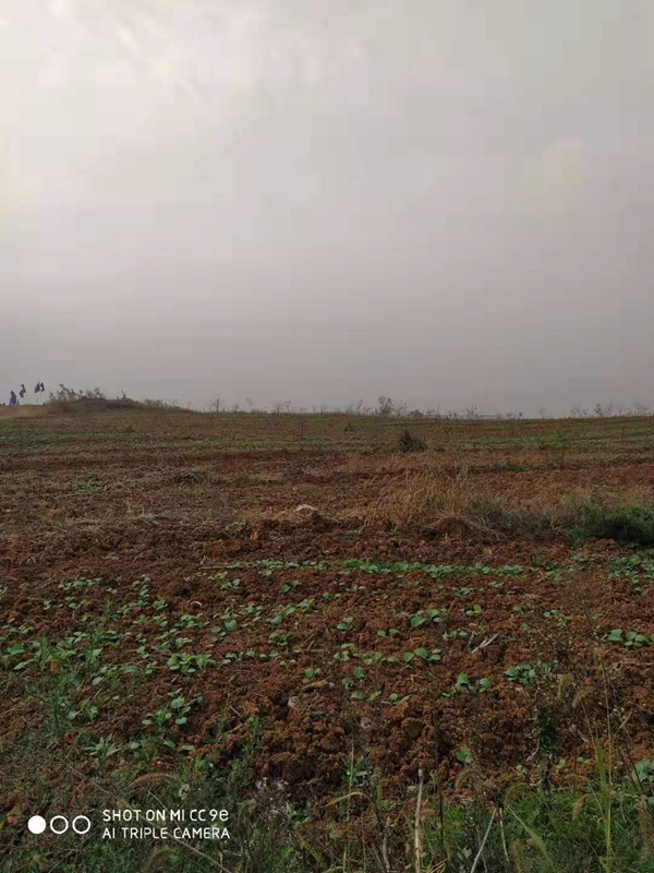 2316225845b9cd20825914.jpg 12.jpg