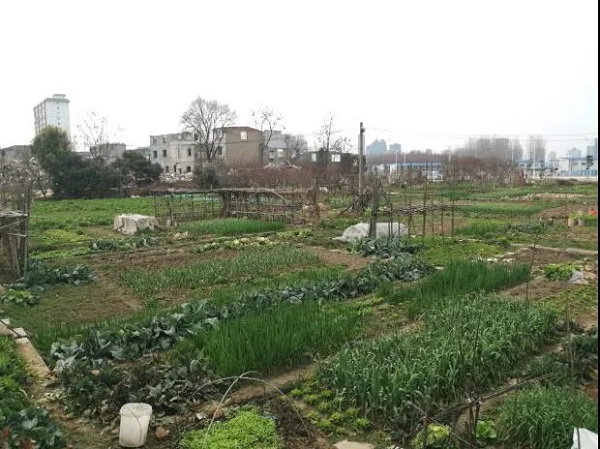 2417523188286e91061355.jpg 6.jpg