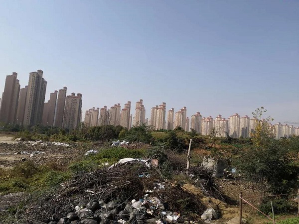 24175432d62fbcbca45782.jpg 12.jpg