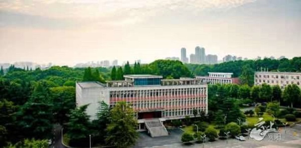 03155504533877e4fa7516.jpg 11.jpg