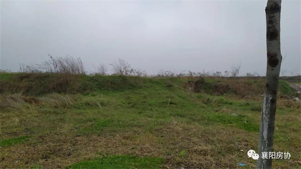 021546382e222371746603.jpg 9999903.jpg