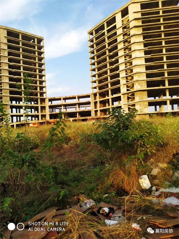 02154825169a50da961935.jpg 9999908.jpg