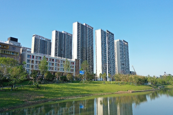251625125d7b436a263339.jpg 華8.jpg